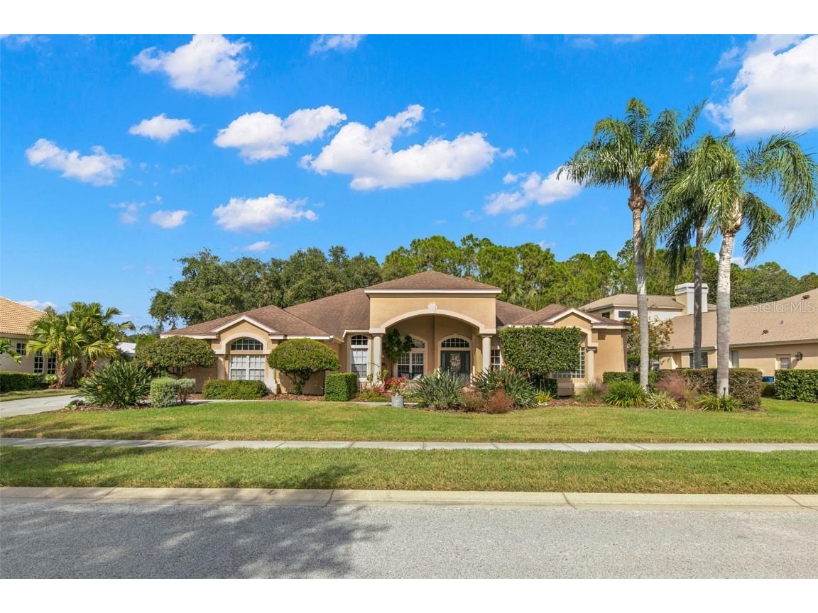 4449 Roanoak Way Palm Harbor FL 34685 TB8317759 image1