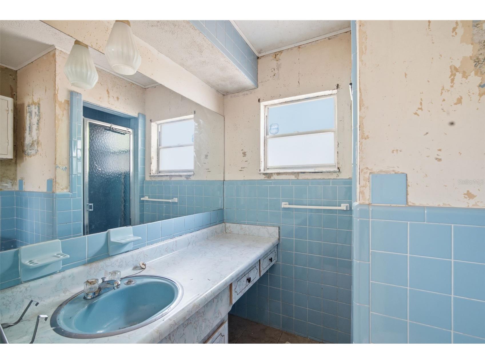 4449 Tarpon Drive Tampa FL 33617 TB8512789 image15