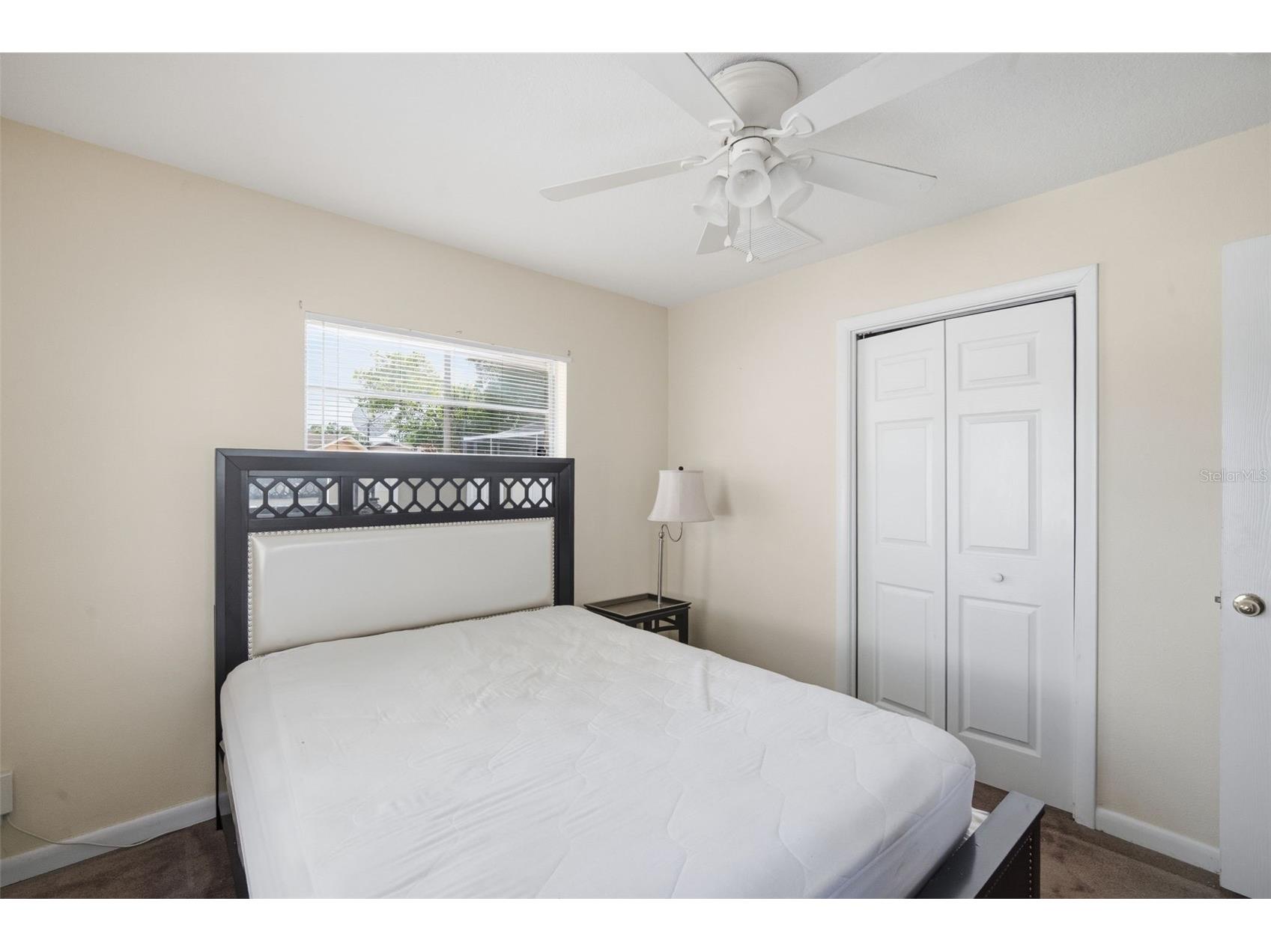 4449 Tarpon Drive Tampa FL 33617 TB8512789 image20