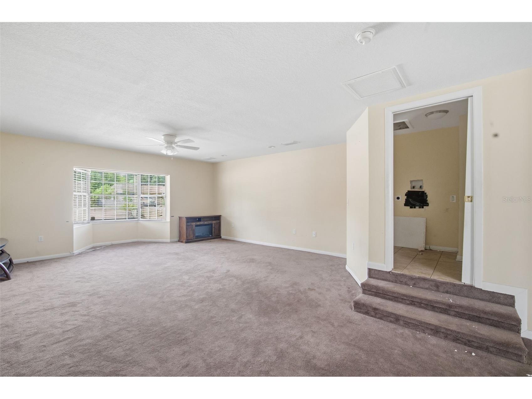 4449 Tarpon Drive Tampa FL 33617 TB8512789 image23