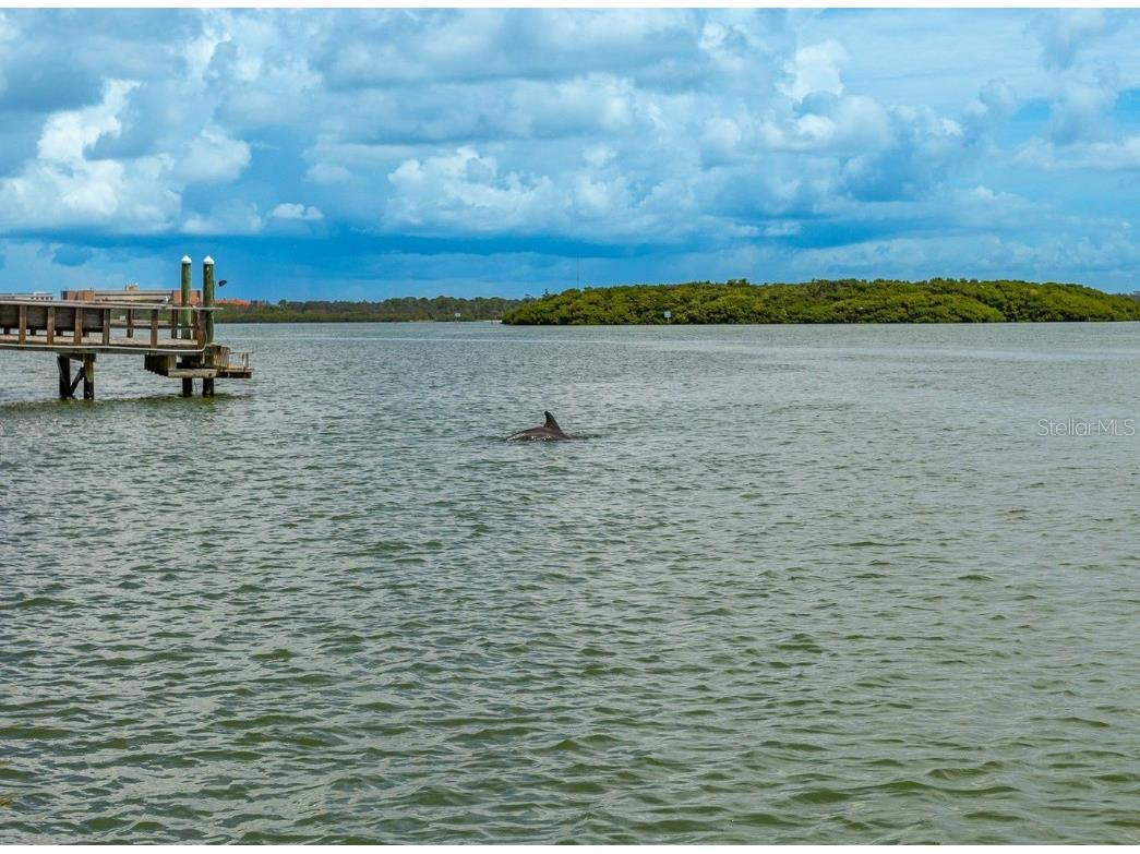 445 129th Avenue E Madeira Beach FL 33708 - GULF TB8427384 image53