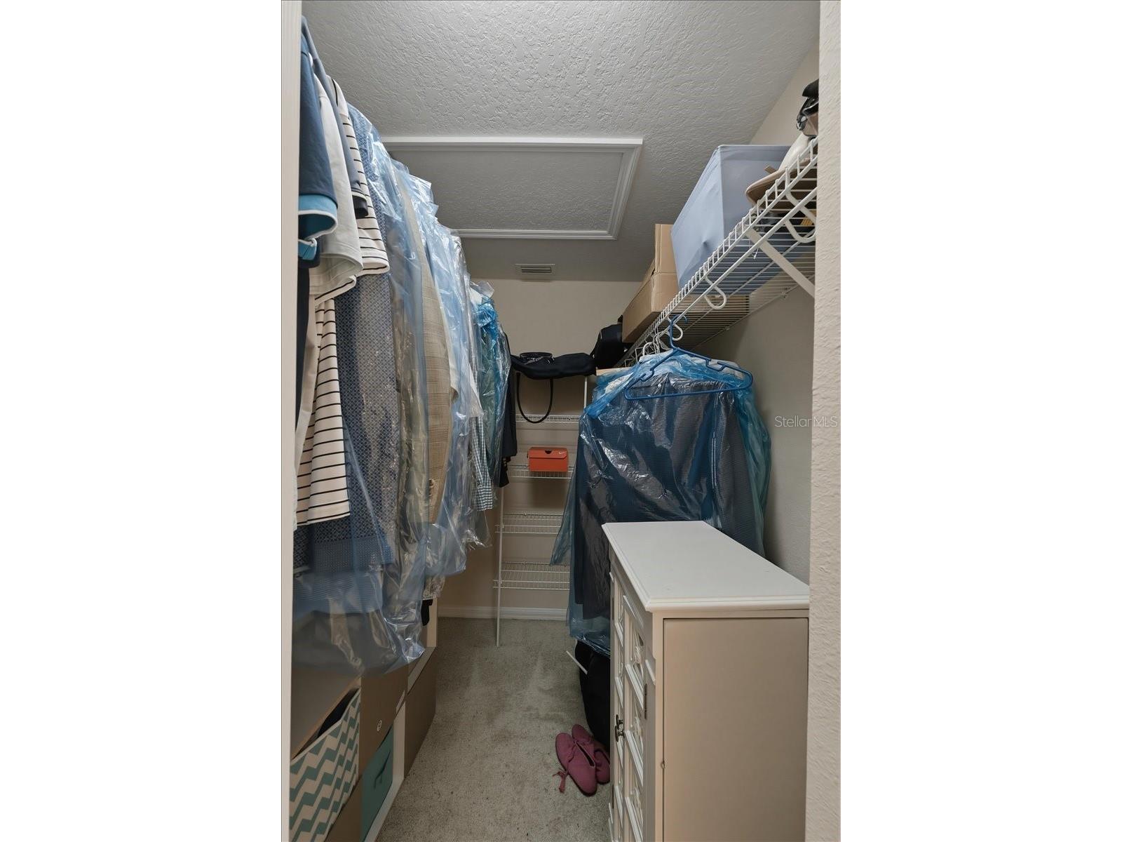 445 Amethyst Avenue Auburndale FL 33823 L4961095 image41