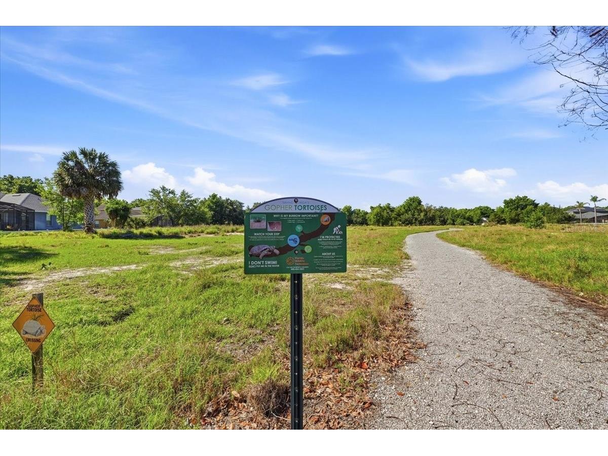 445 Amethyst Avenue Auburndale FL 33823 L4961095 image59