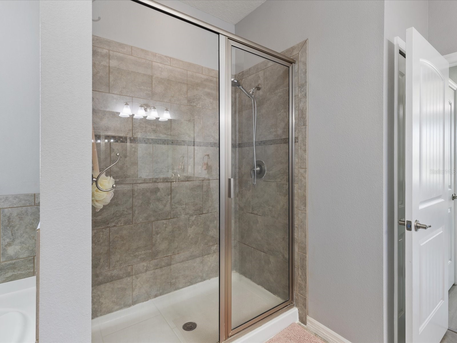 445 Bahama Grande Boulevard Apollo Beach FL 33572 TB8493393 image13