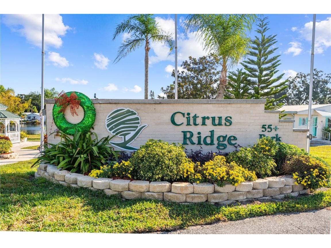 445 Citrus Ridge Drive Davenport FL 33837 S5139283 image51