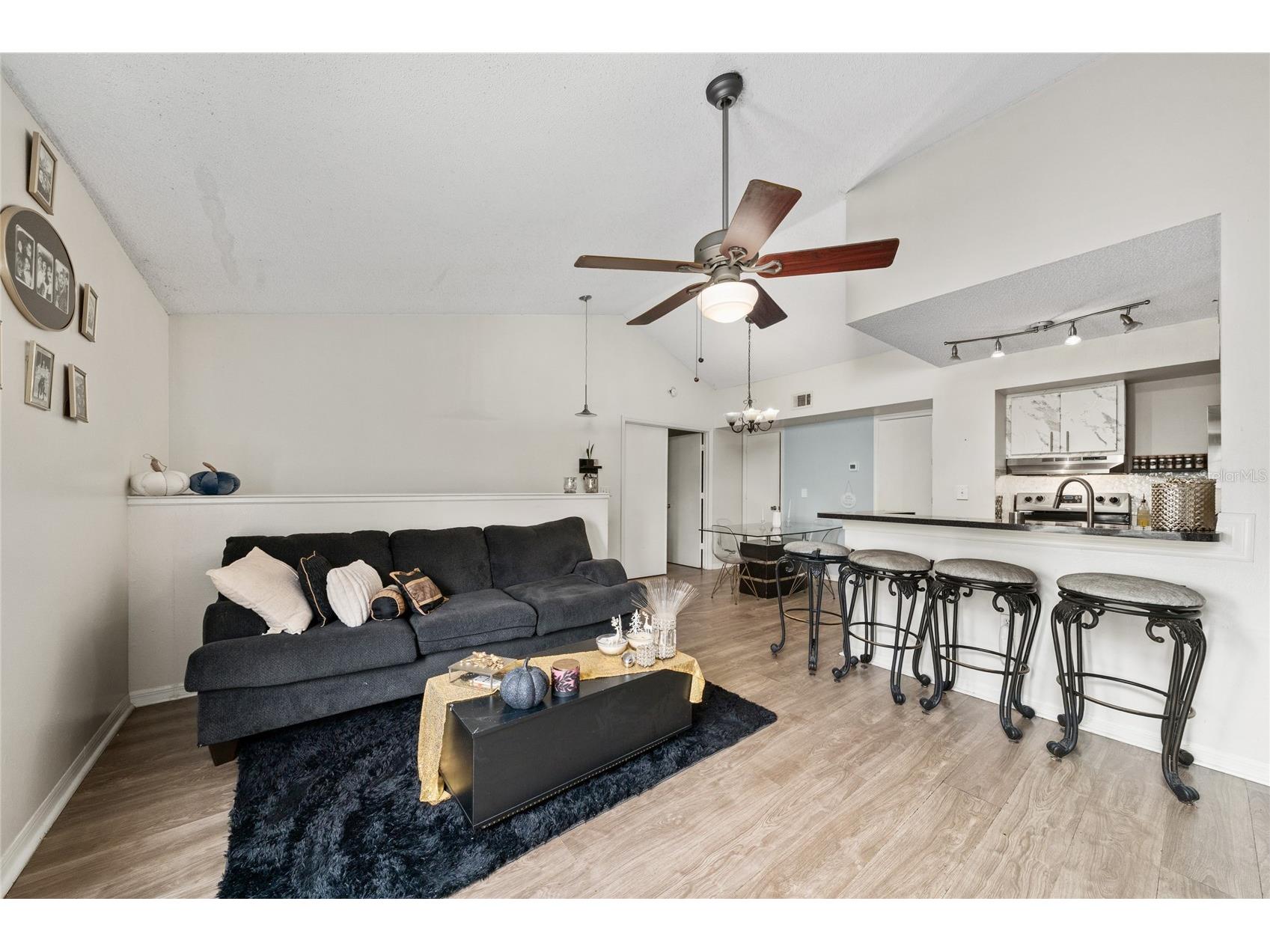 445 Fountainhead Circle #257 Kissimmee FL 34741 S5149211 image6