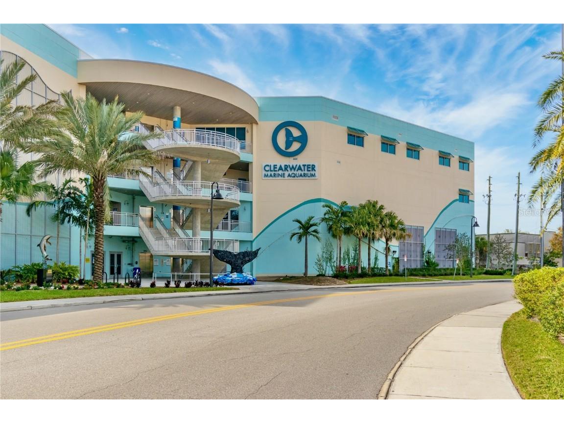 445 Hamden Drive #502 Clearwater Beach FL 33767 TB8380530 image42