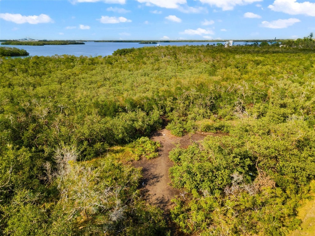 445 Horseshoe Loop Road Terra Ceia FL 34250 A4629779 image46