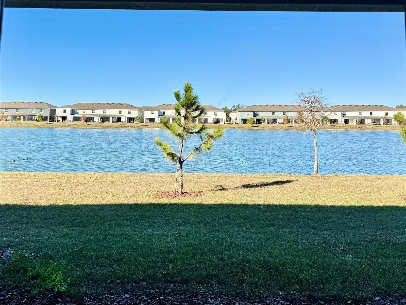 445 Mangrove Shade Circle Apollo Beach FL 33572 - Pond View TB8472296 image17