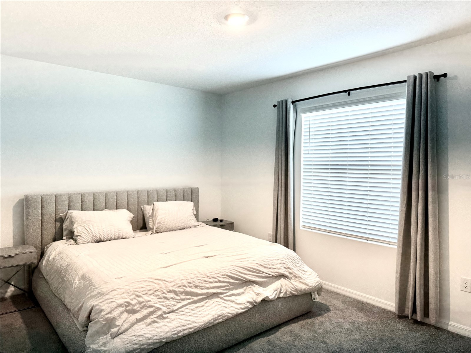 445 Mangrove Shade Circle Apollo Beach FL 33572 - Pond View TB8472296 image22