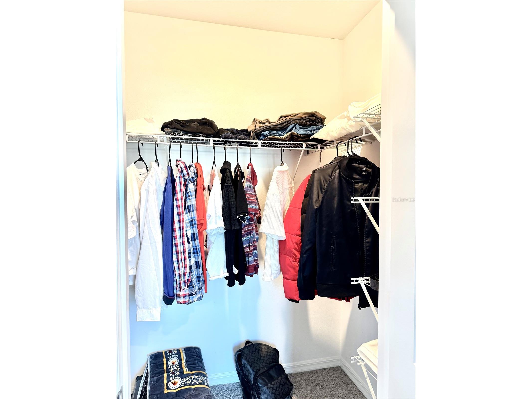 445 Mangrove Shade Circle Apollo Beach FL 33572 - Pond View TB8472296 image26