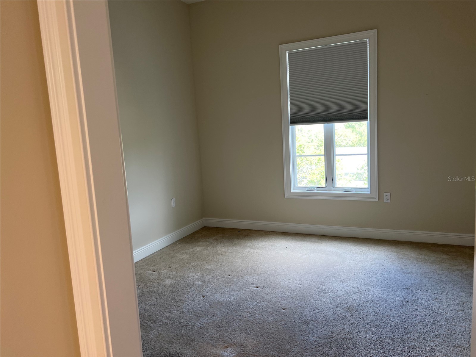 445 N Orange Avenue #303 Sarasota FL 34236 A4632460 image21