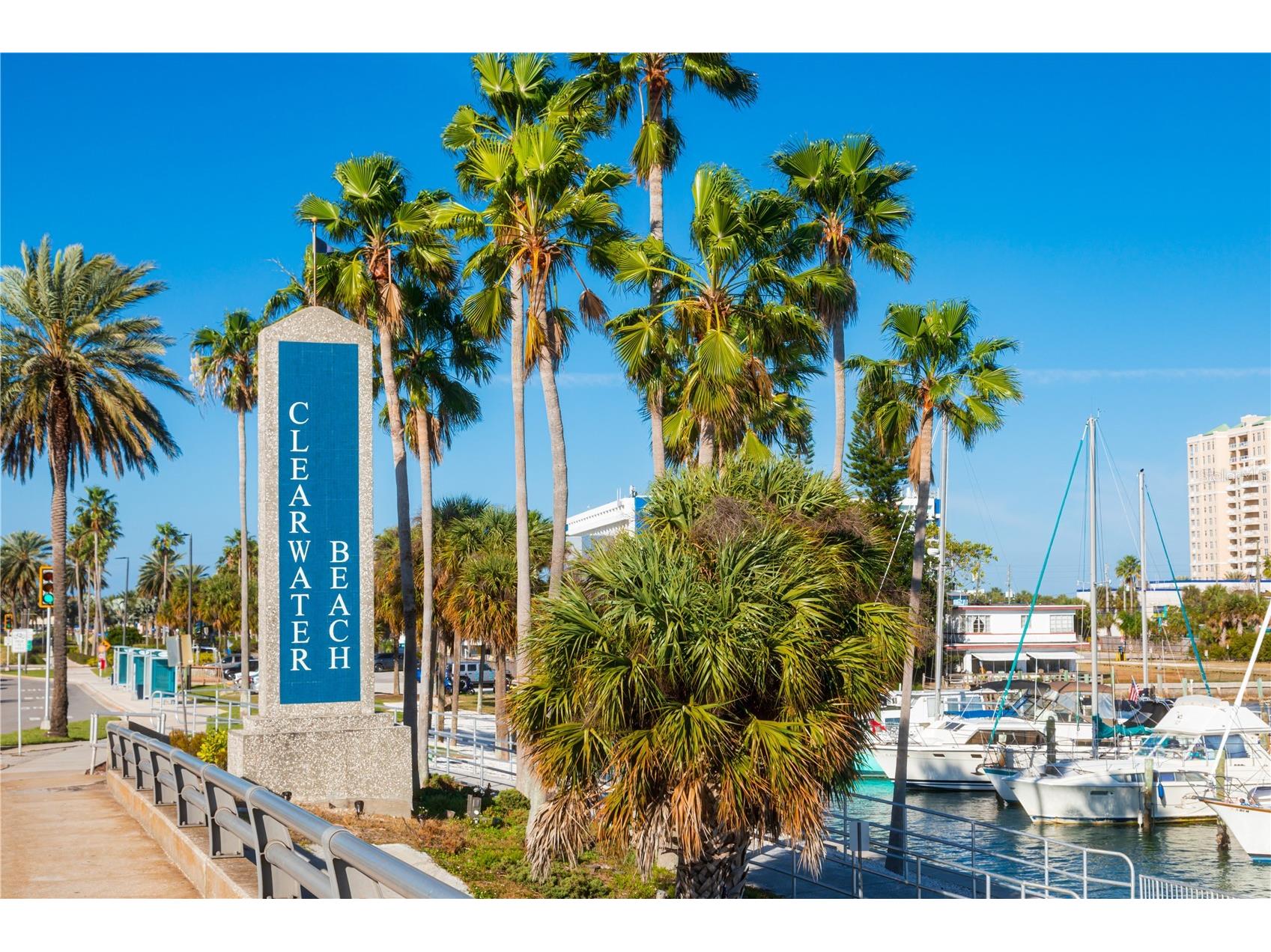 445 S Gulfview Boulevard #113 Clearwater Beach FL 33767 TB8457986 image43