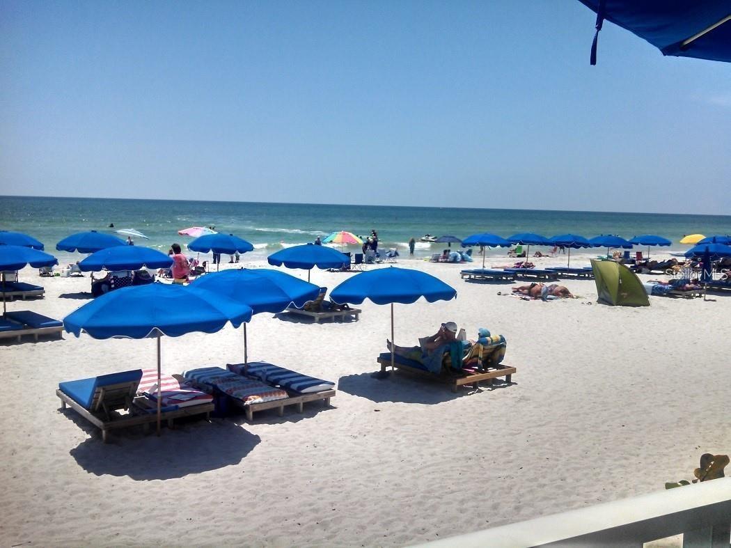 445 S Gulfview Boulevard #212 Clearwater Beach FL 33767 TB8516237 image32