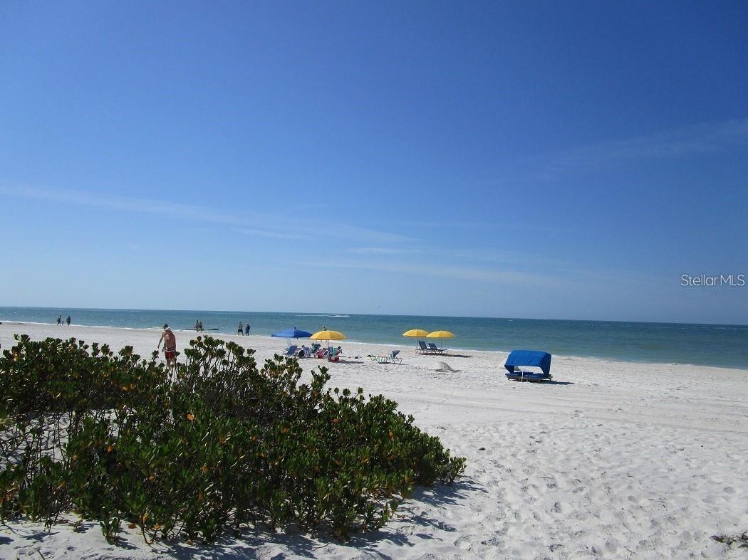 445 S Gulfview Boulevard #212 Clearwater Beach FL 33767 TB8516237 image33
