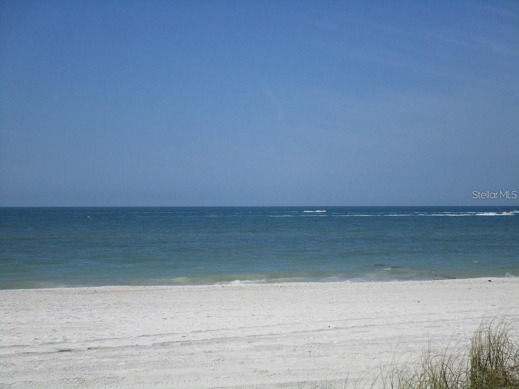 445 S Gulfview Boulevard #223 Clearwater Beach FL 33767 TB8517006 image24