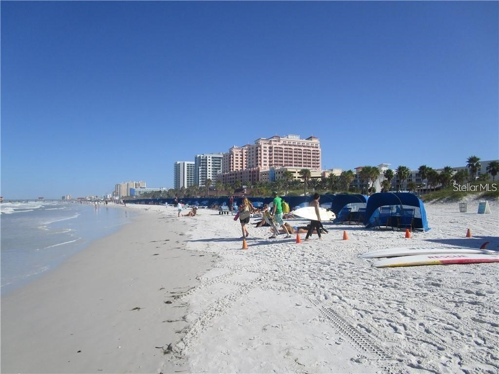 445 S Gulfview Boulevard #223 Clearwater Beach FL 33767 TB8517006 image26