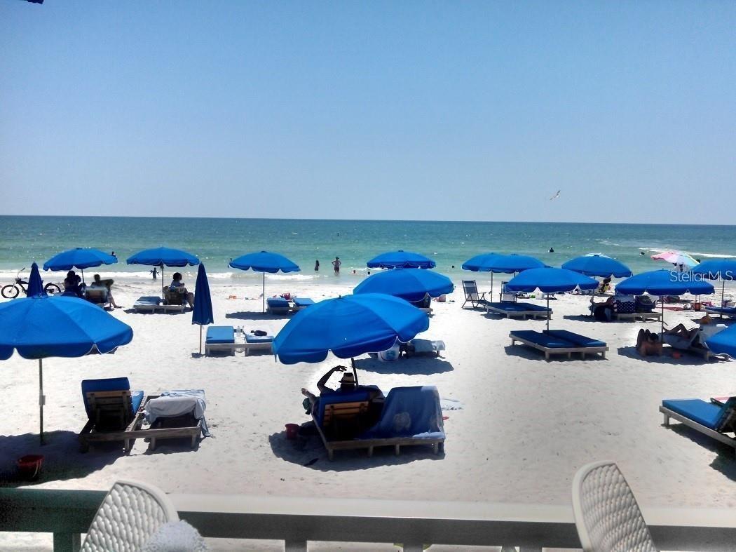 445 S Gulfview Boulevard #223 Clearwater Beach FL 33767 TB8517006 image29