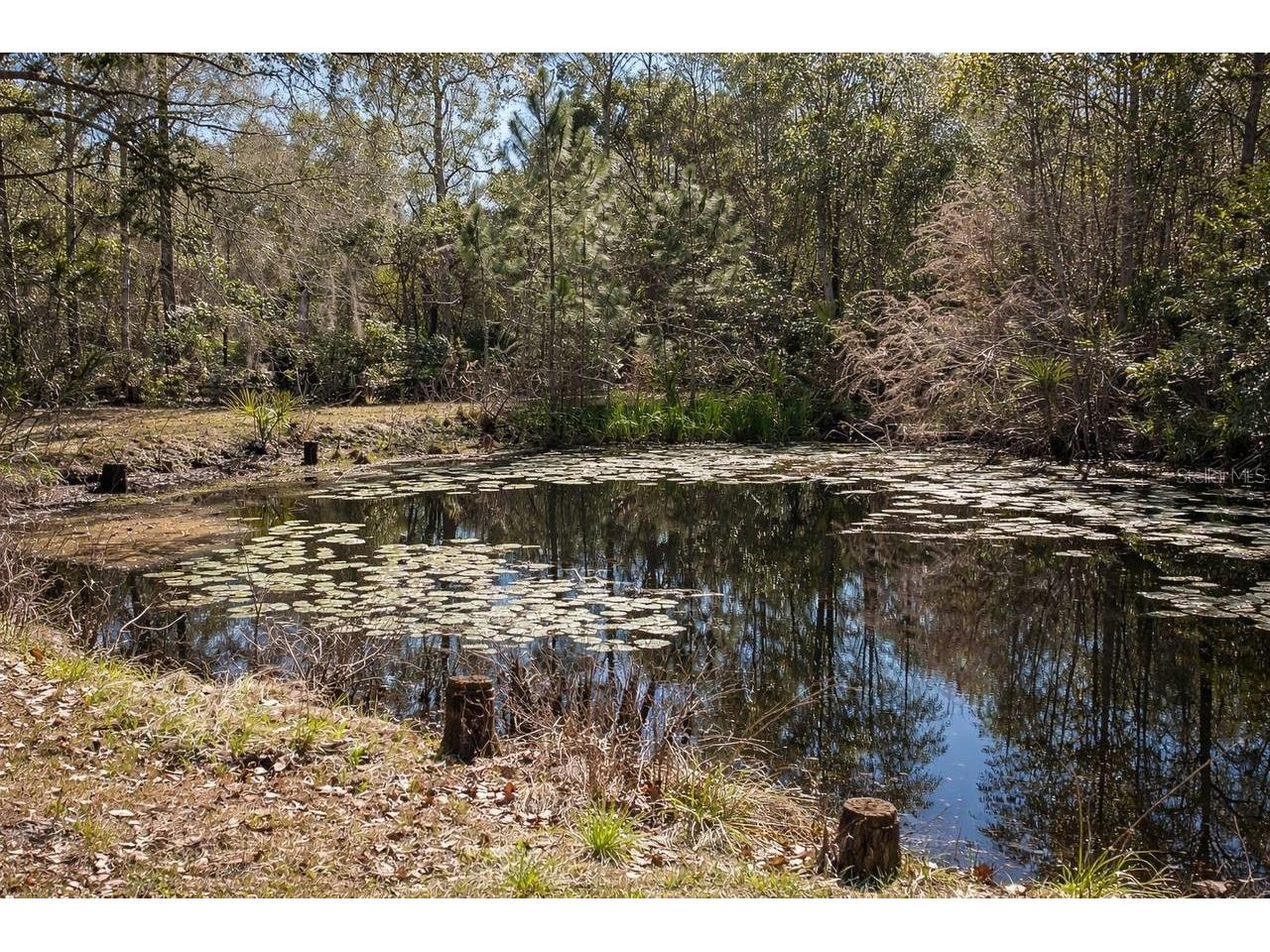 445 S State Road 415 Osteen FL 32764 O6373233 image25