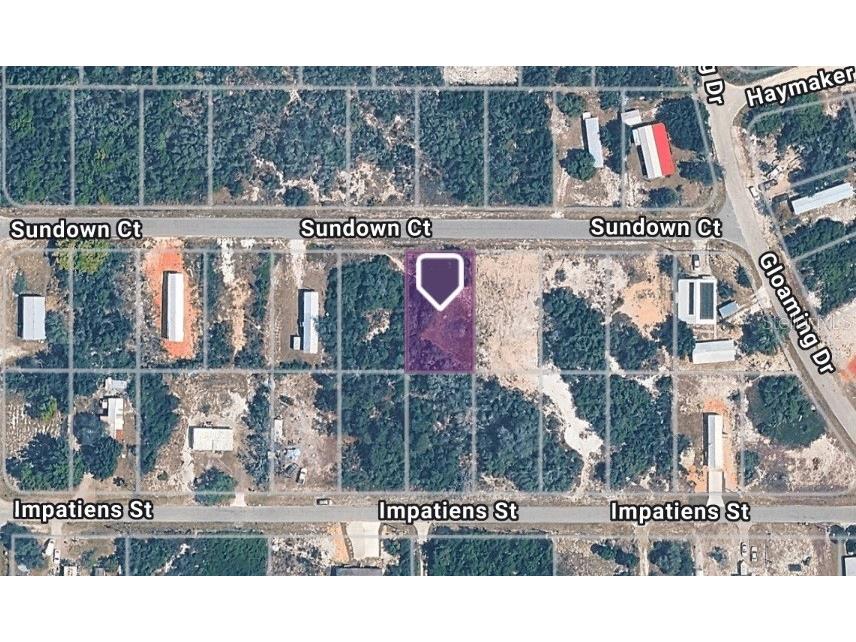 445 Sundown Court Lake Placid FL 33852 TB8527148 image3