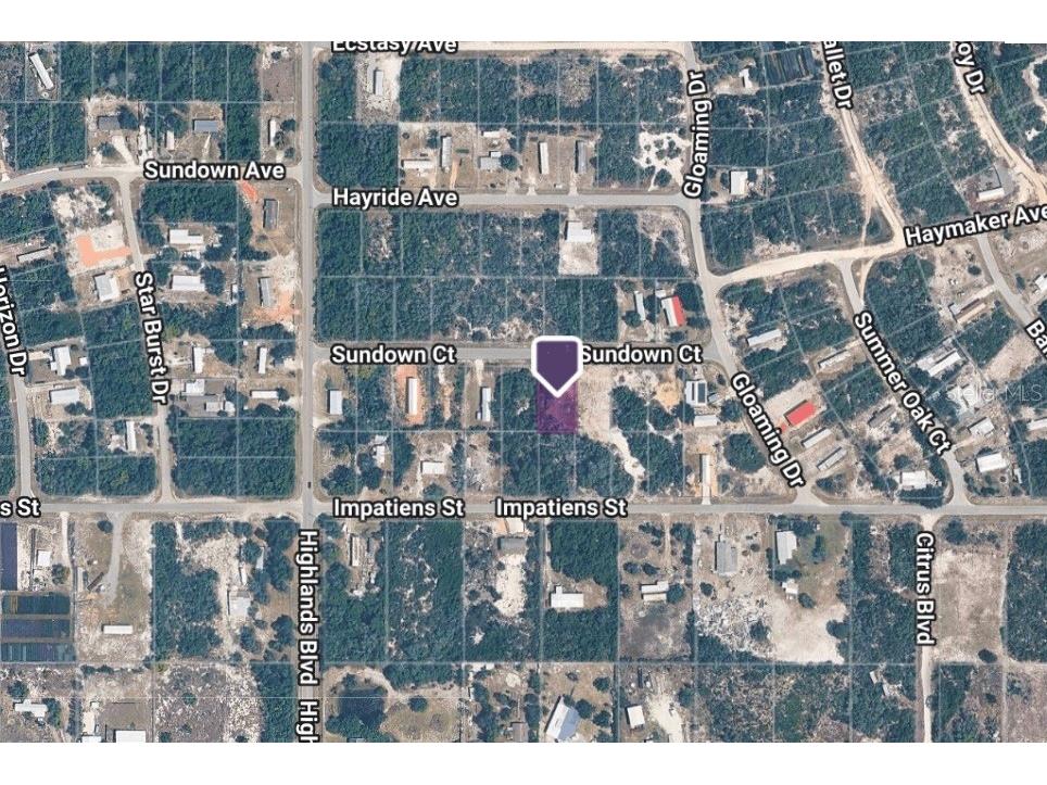 445 Sundown Court Lake Placid FL 33852 TB8527148 image4