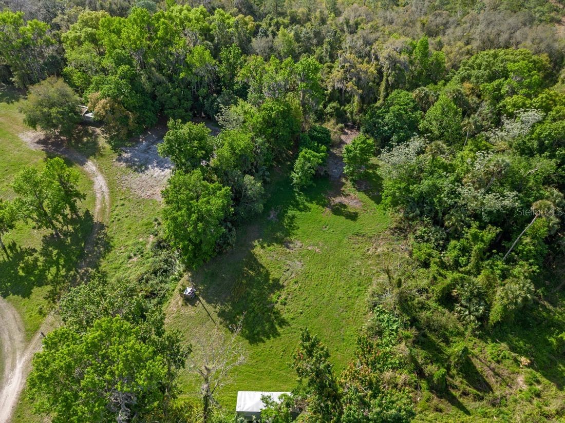 445 Van Arsdale St Oviedo FL 32765 O6191809 image15