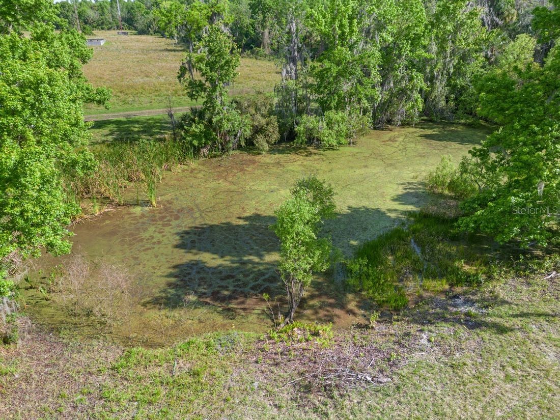 445 Van Arsdale St Oviedo FL 32765 O6191809 image18