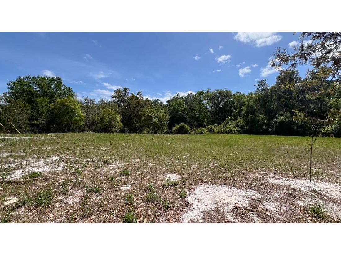 445 Van Arsdale St Oviedo FL 32765 O6191809 image26