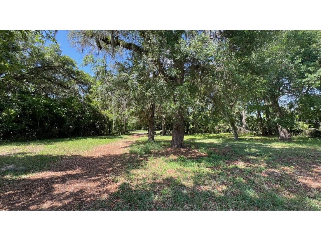445 Van Arsdale St Oviedo FL 32765 O6191809 image27