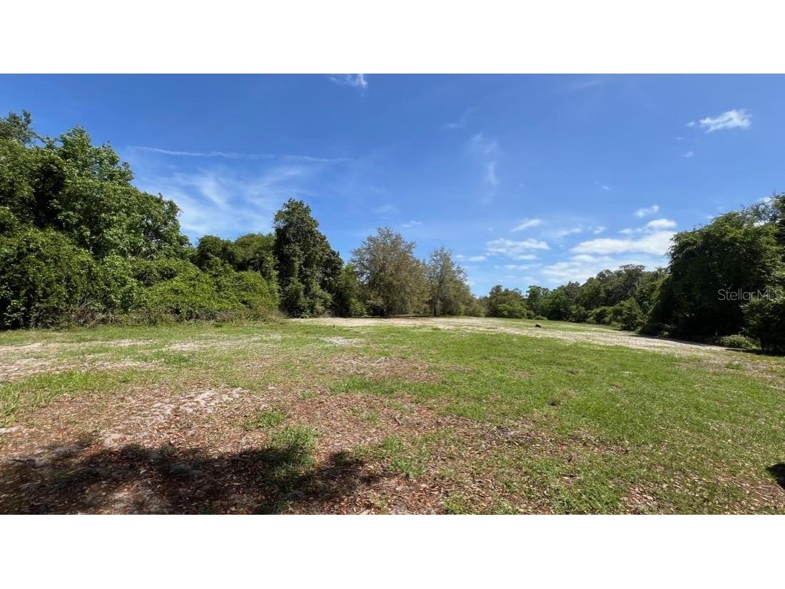 445 Van Arsdale St Oviedo FL 32765 O6191809 image3