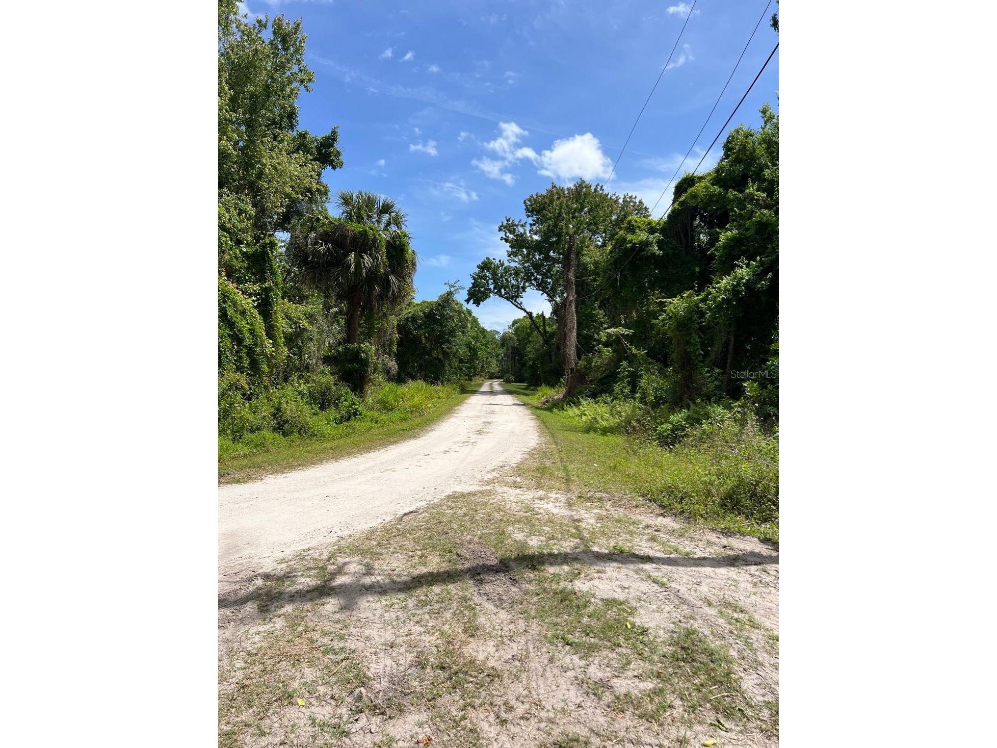 445 Van Arsdale St Oviedo FL 32765 O6191809 image35