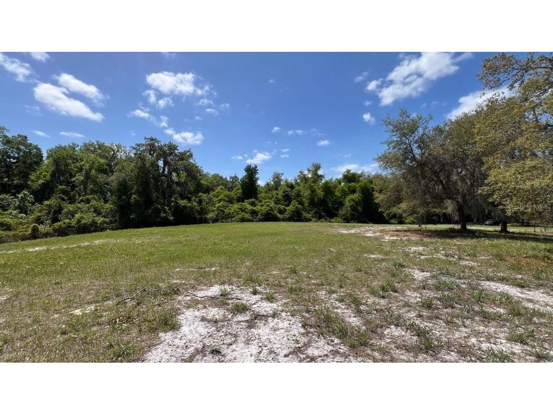 445 Van Arsdale St Oviedo FL 32765 O6191809 image4
