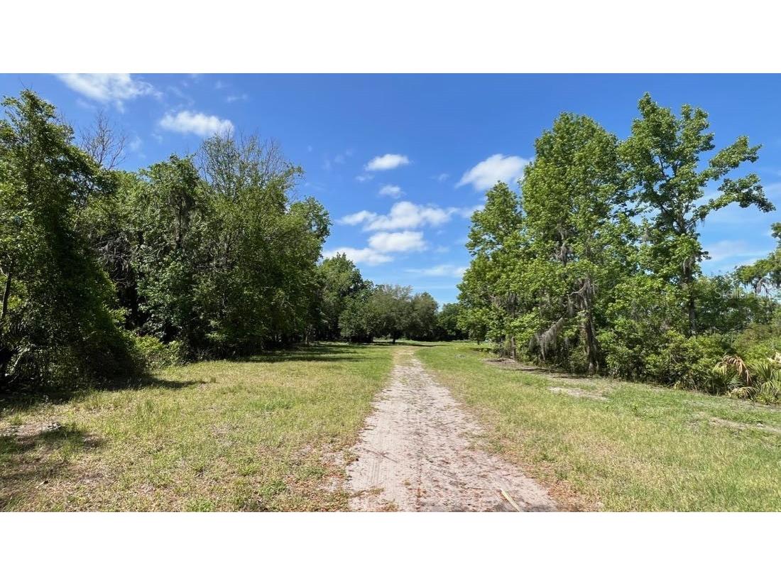 445 Van Arsdale St Oviedo FL 32765 O6191809 image5