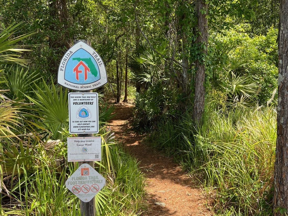 445 Van Arsdale St Oviedo FL 32765 O6191809 image8