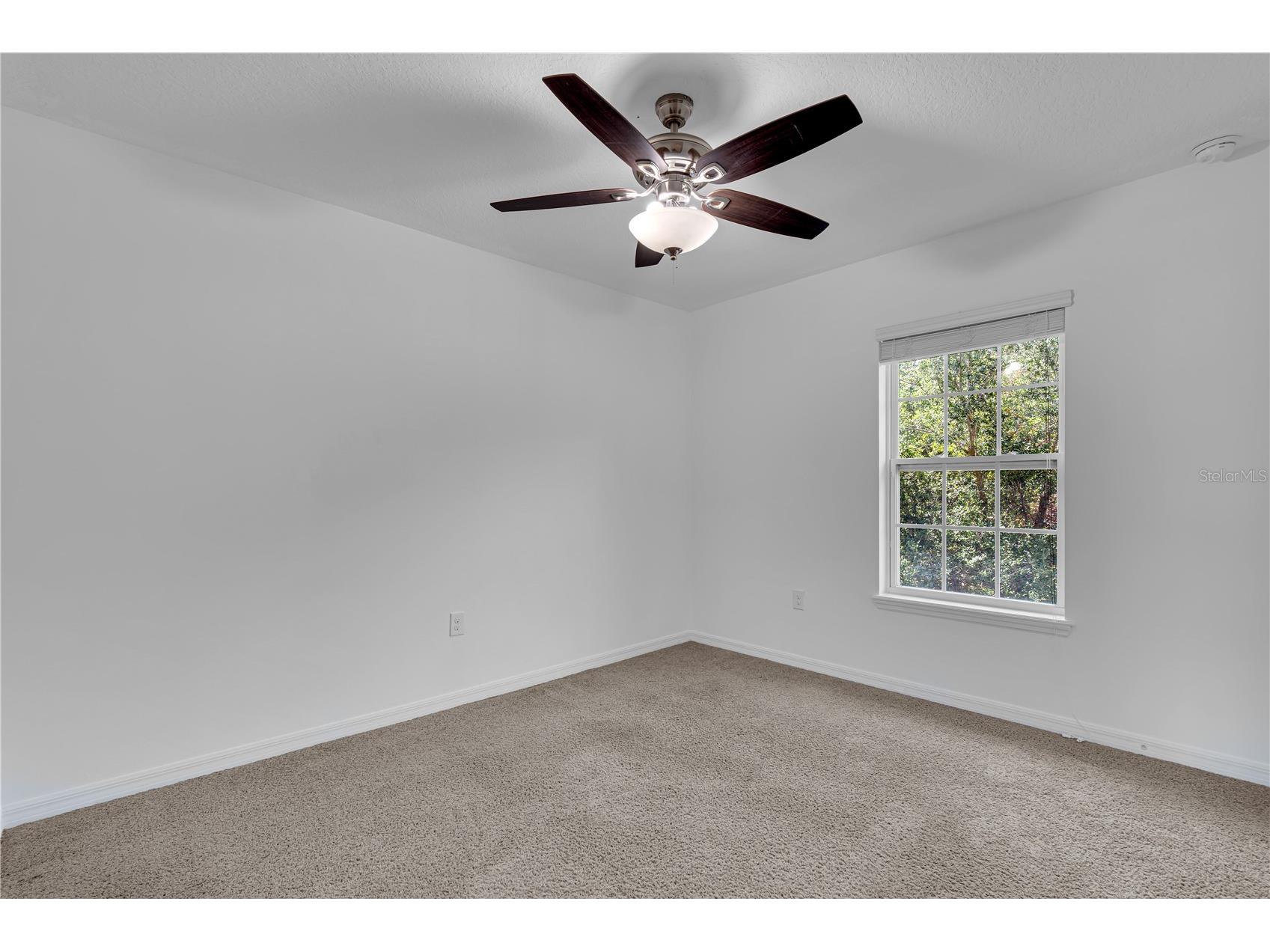 4450 Capital Boulevard Saint Cloud FL 34769 O6400561 image16