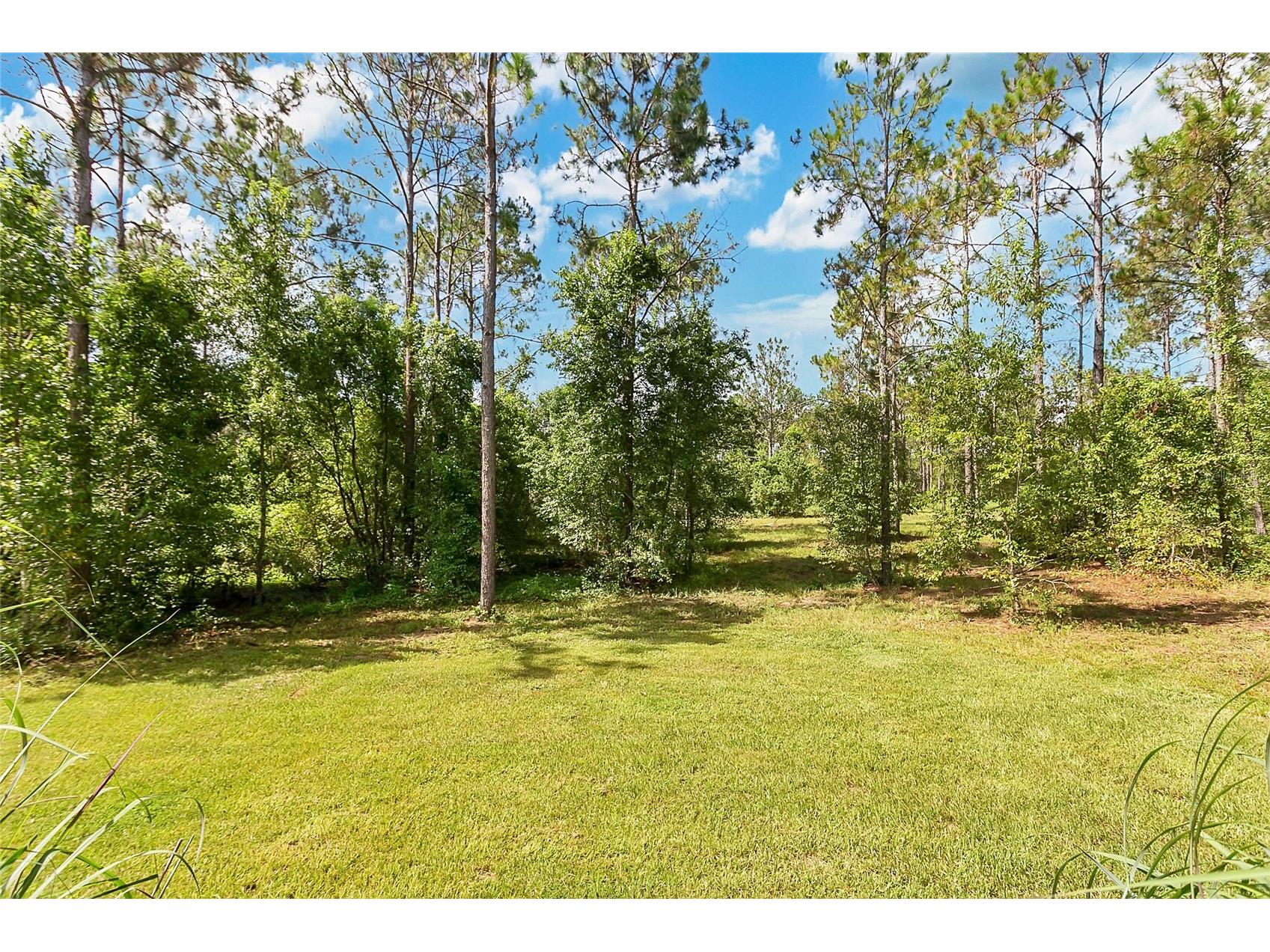 4450 Empire Church Road Groveland FL 34736 O6323844 image37