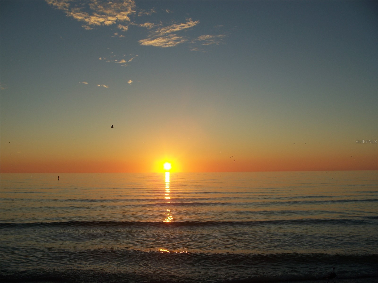 4450 Gulf Boulevard #110 Saint Pete Beach FL 33706 - GULF OF MEXICO TB8489263 image41