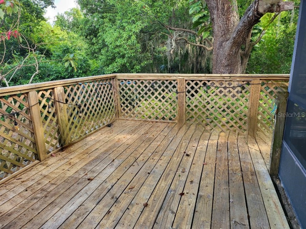 4450 Old Berkley Road Auburndale FL 33823 P4929182 image22