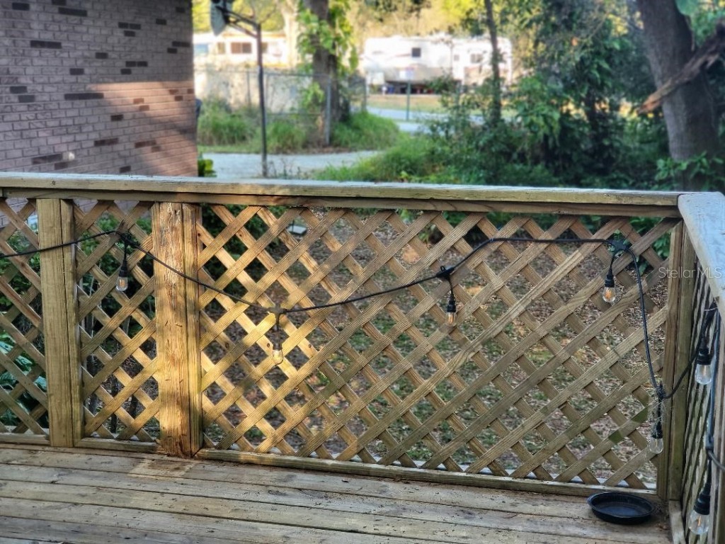 4450 Old Berkley Road Auburndale FL 33823 P4929182 image25