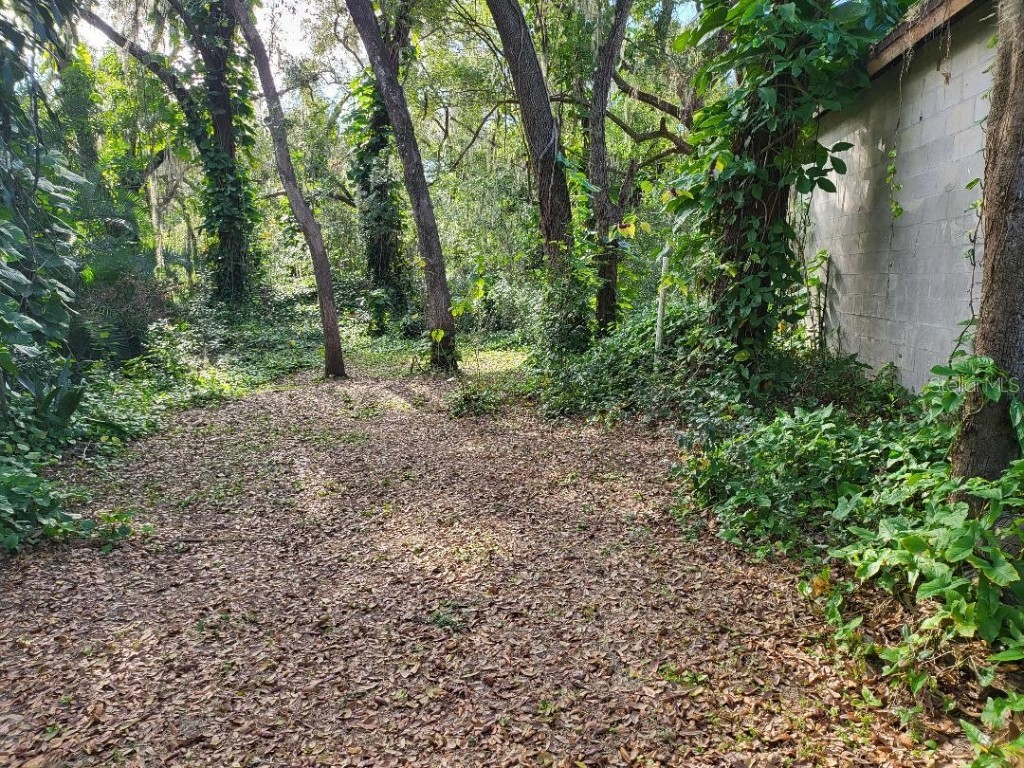 4450 Old Berkley Road Auburndale FL 33823 P4929182 image38