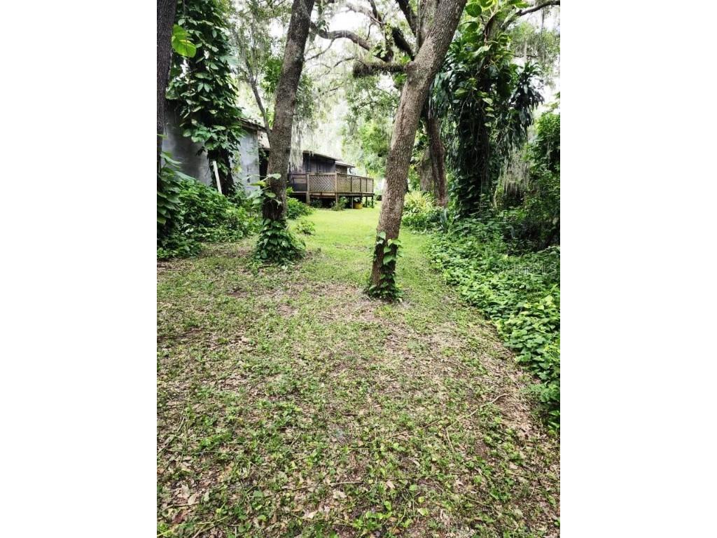 4450 Old Berkley Road Auburndale FL 33823 P4929182 image42