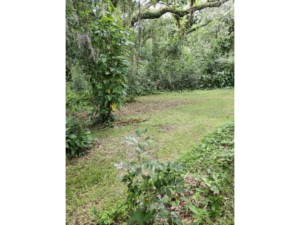 4450 Old Berkley Road Auburndale FL 33823 P4929182 image43