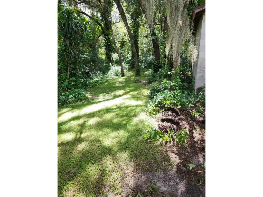 4450 Old Berkley Road Auburndale FL 33823 P4929182 image45