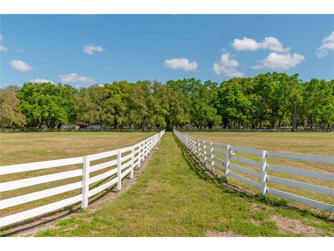 4450 SE 216th Avenue Morriston FL 32668 OM698007 image12