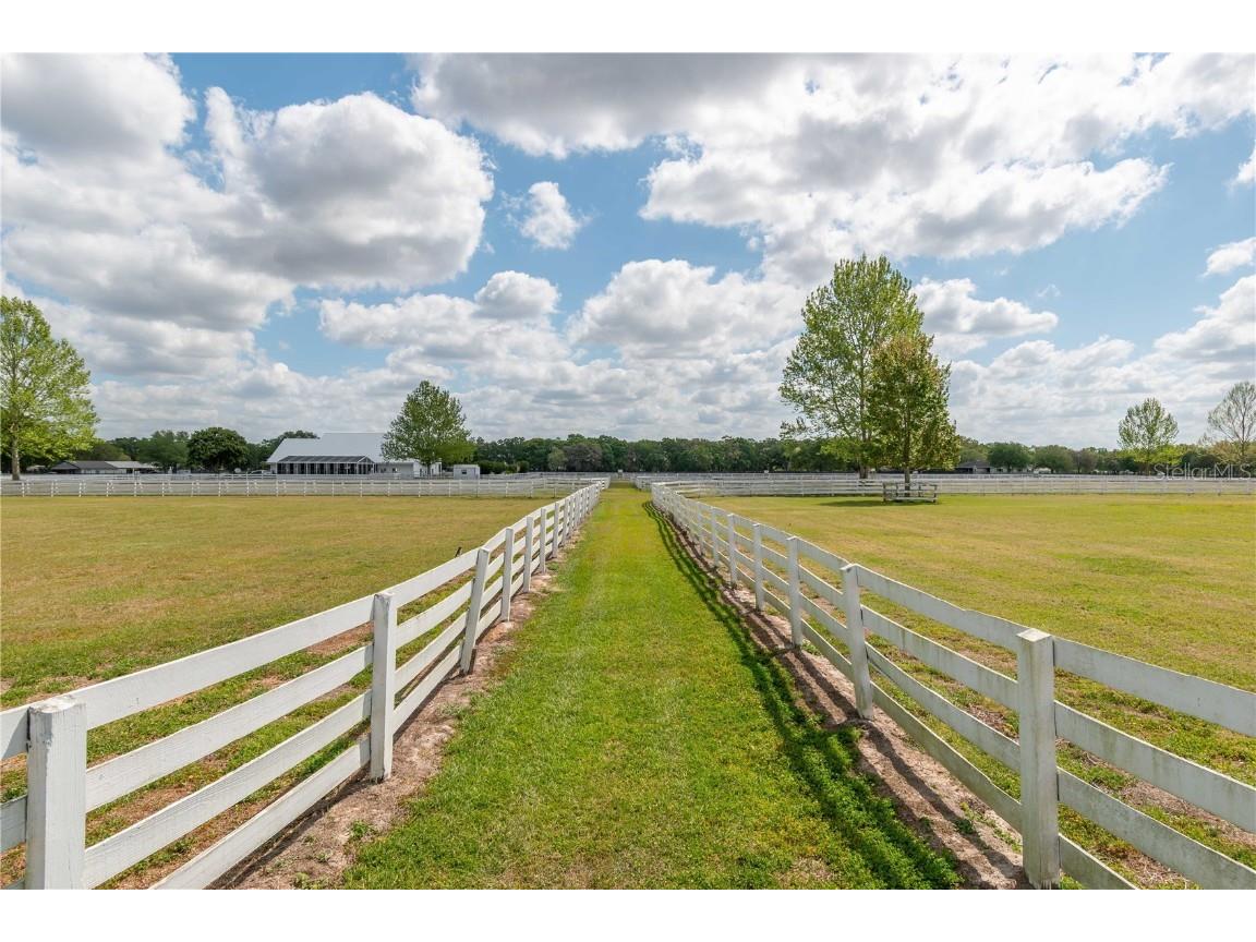 4450 SE 216th Avenue Morriston FL 32668 OM698007 image19