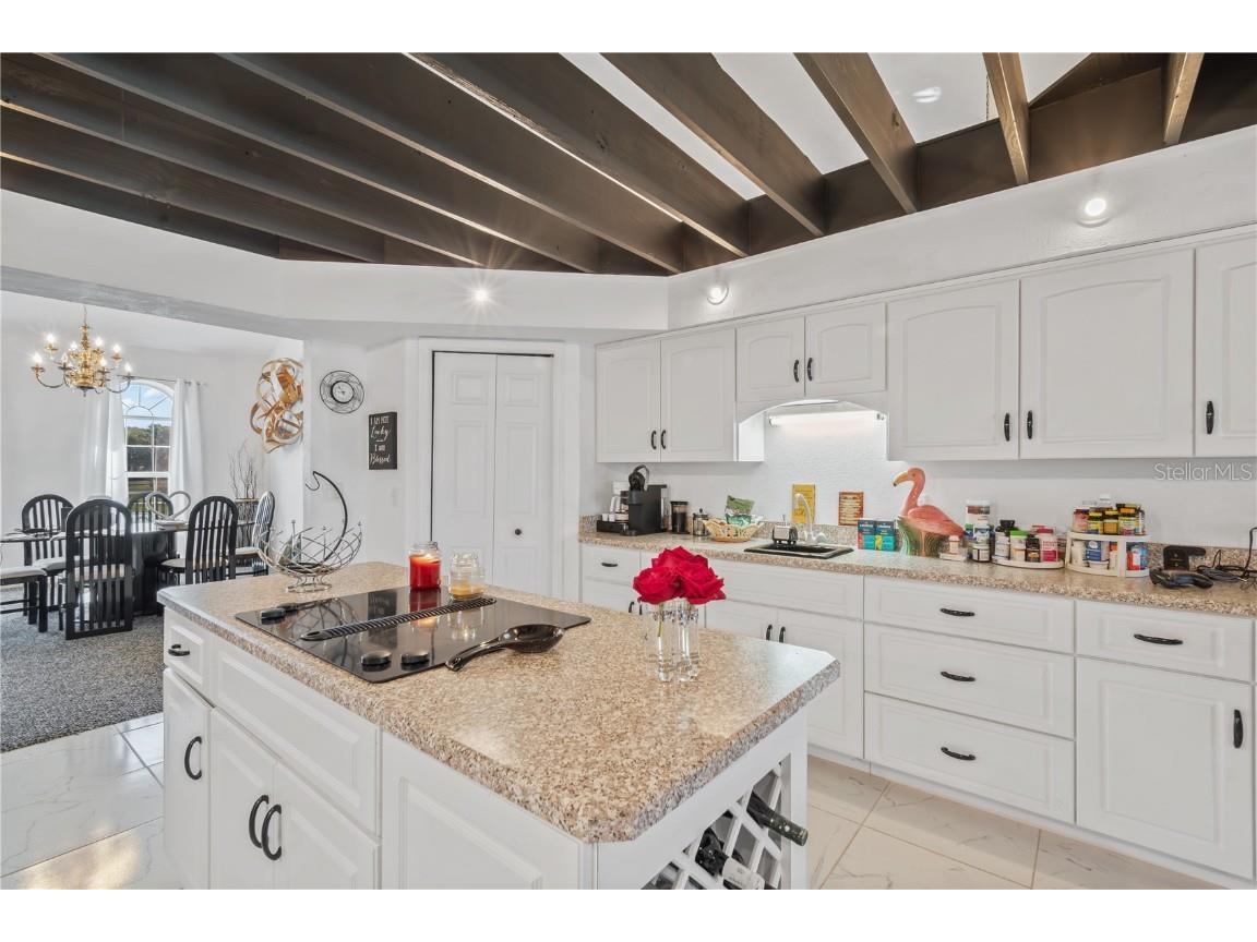 4450 SE 216th Avenue Morriston FL 32668 OM698007 image57