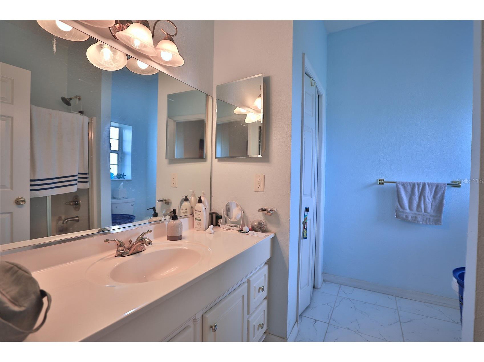 4450 SE 216th Avenue Morriston FL 32668 OM722939 image39