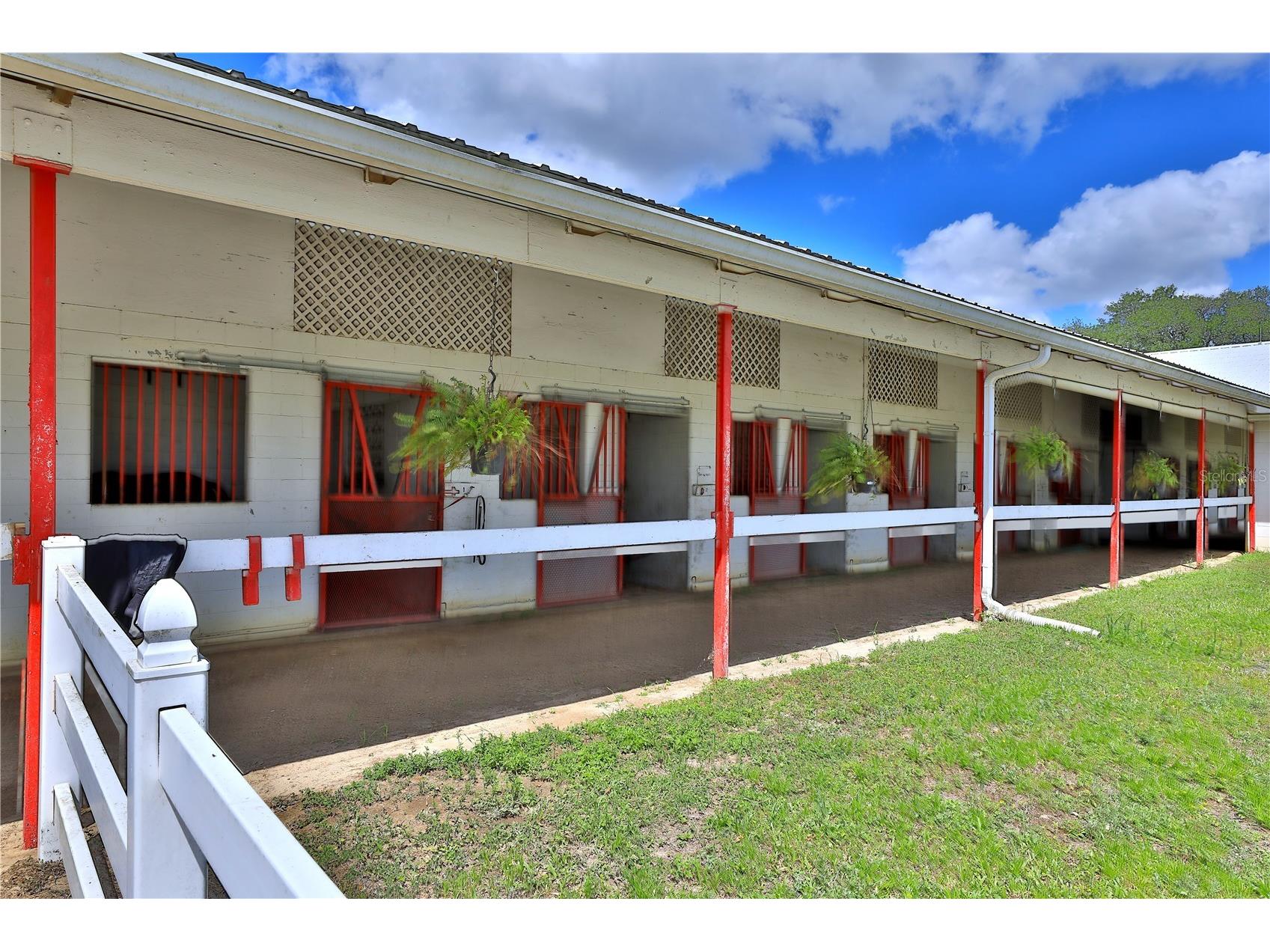 4450 SE 216th Avenue Morriston FL 32668 OM722939 image49