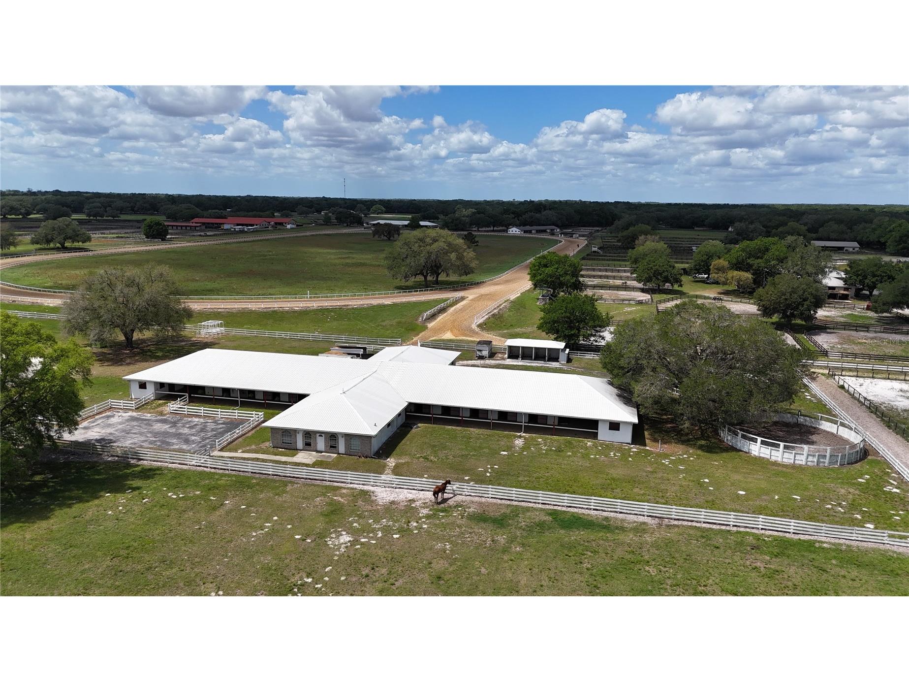 4450 SE 216th Avenue Morriston FL 32668 OM722939 image66