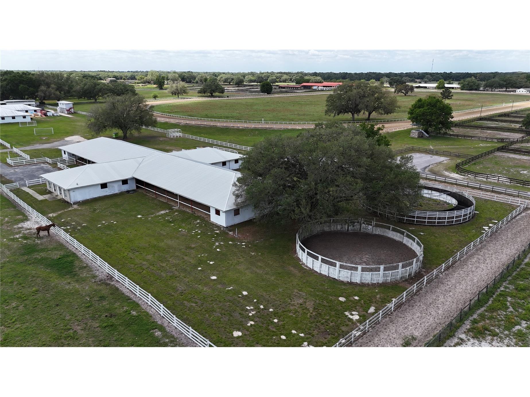 4450 SE 216th Avenue Morriston FL 32668 OM722939 image69